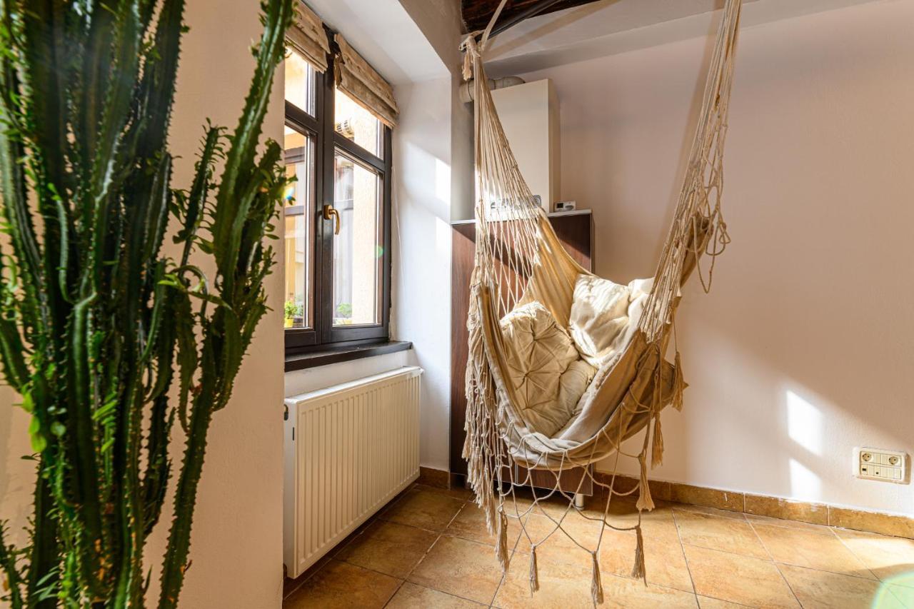 Dream Guesthouse Брашов Экстерьер фото