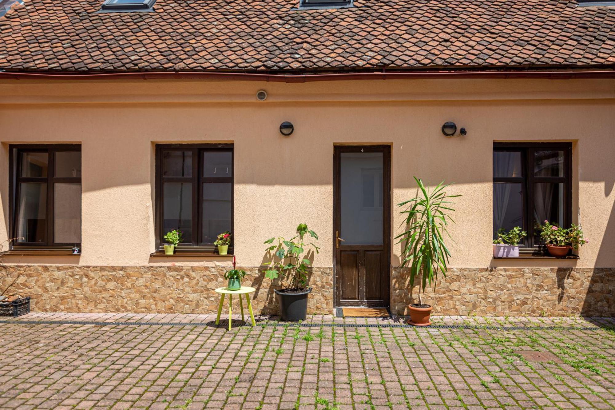 Dream Guesthouse Брашов Экстерьер фото